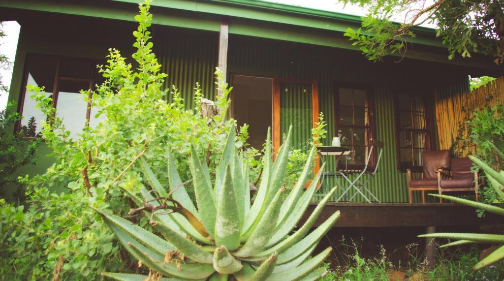 Three Tree Hill Lodge Бергвилль Номер фото